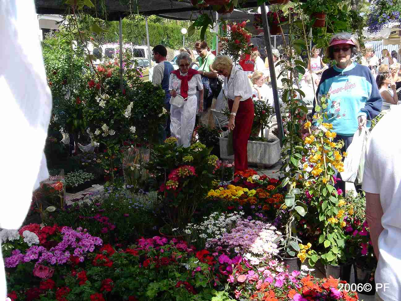 Street Market Arena (Marbella) 