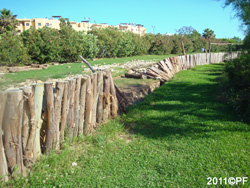 Costa Jardin's eucalyptus wall...